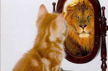 kitten-looking-in-mirror-seeing-a-lion_crop380w.jpg