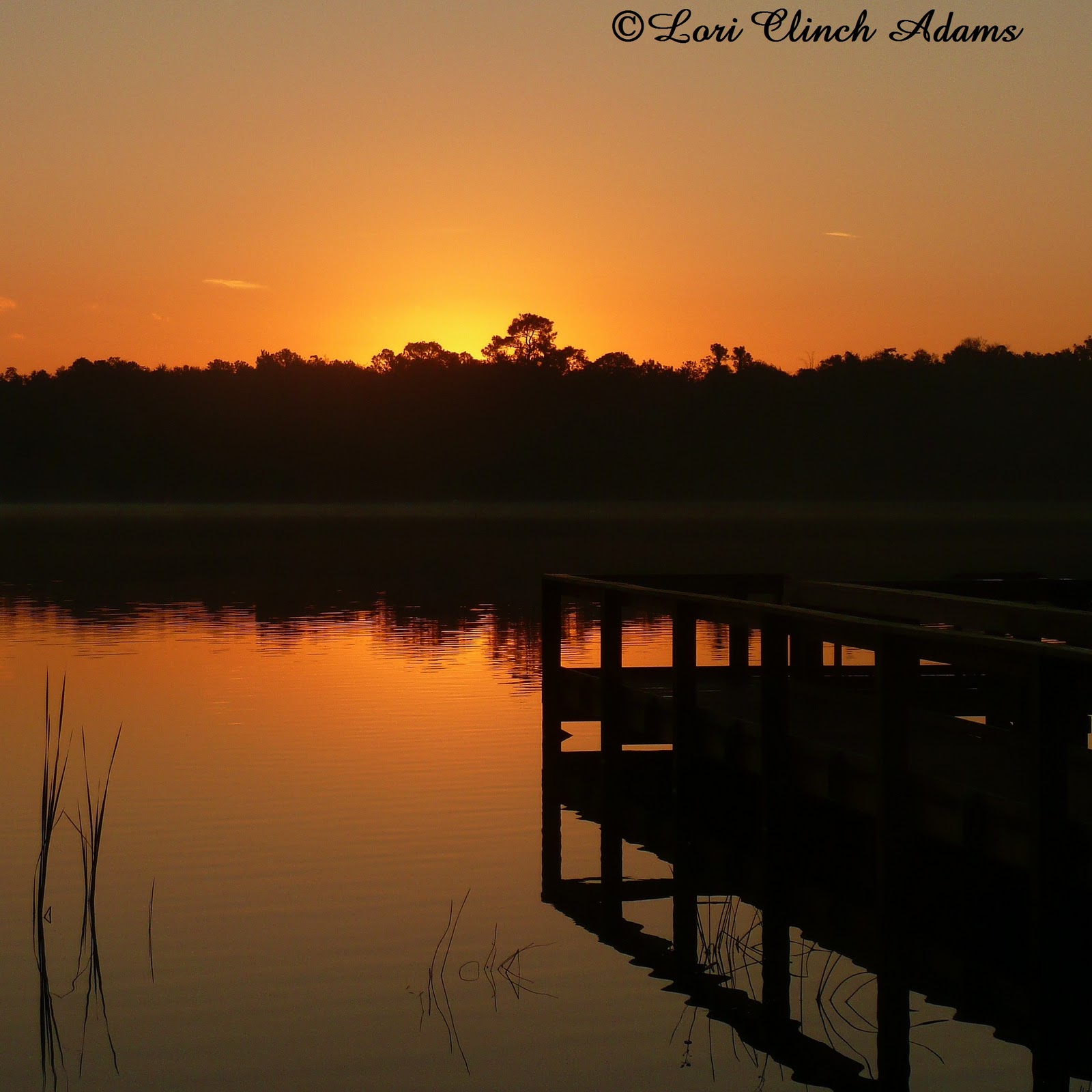 Polk County Florida Parks and Trails Lake Ned Sunrise, Winter Haven, New Years Day, January 1, 2012