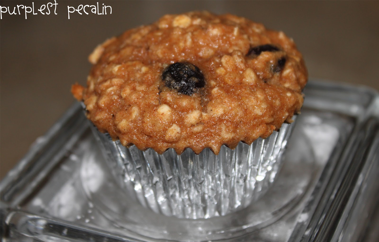 Purplest Pecalin Oatmeal Blueberry Applesauce Muffins