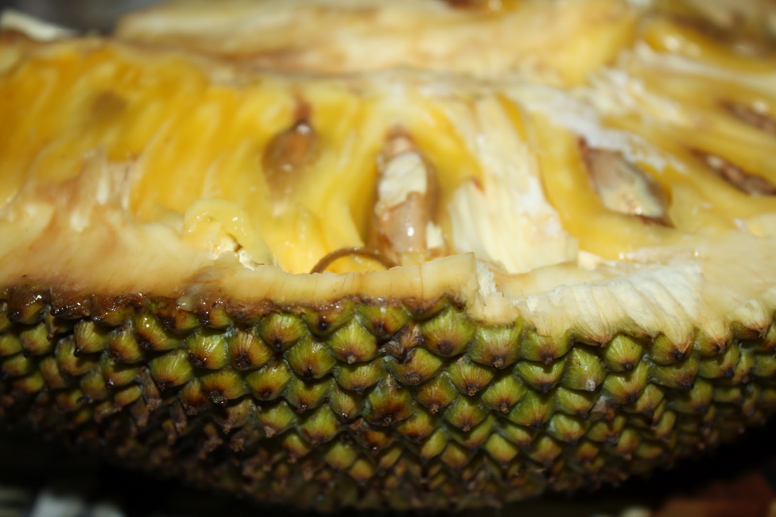 Recipes and Tips To Fight M.S. Health Benefits of Jackfruit