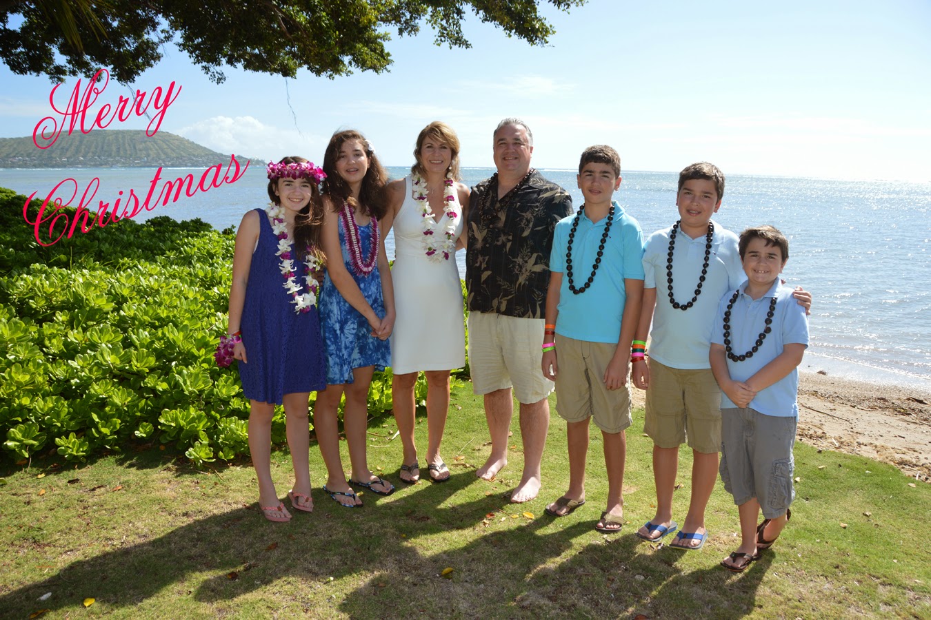 Honolulu Weddings Christmas in Hawaii