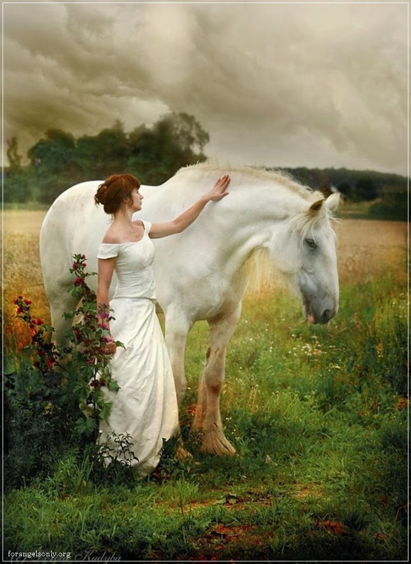 Animal Girl Wallpaper Hd Lodge State