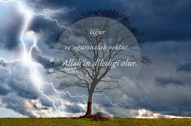 بسم الله الرحمن الرحيم SAFER AYI BELA AYI MI?