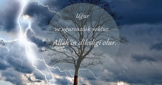 بسم الله الرحمن الرحيم SAFER AYI BELA AYI MI?