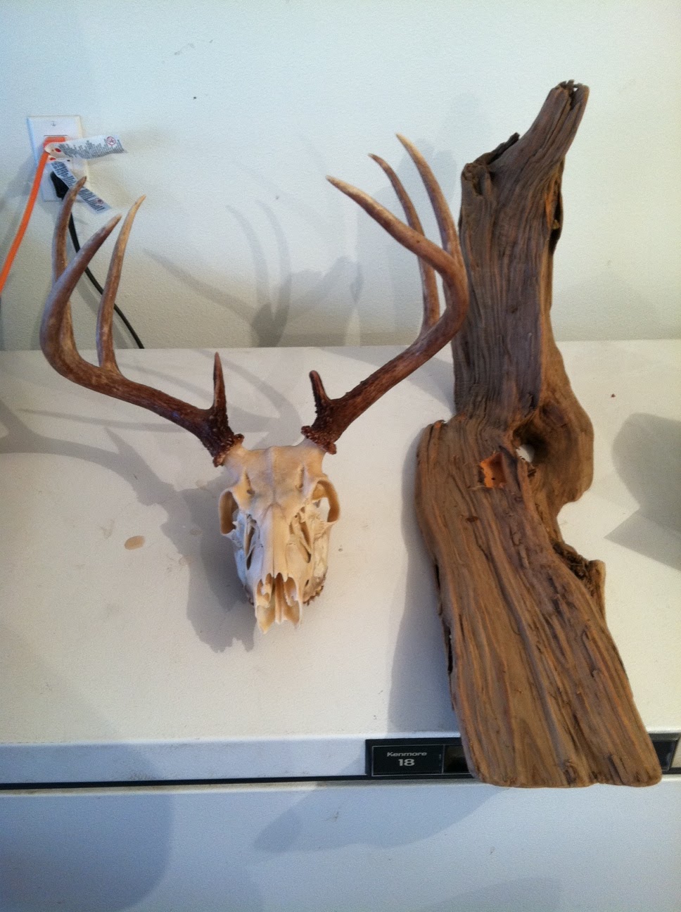 Bones n' Broadheads European Mounts