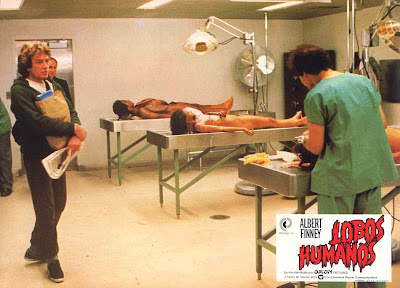 Amityville+Horror+Autopsy Wadleigh picked the cast of Wolfen based on their theatre experience ...