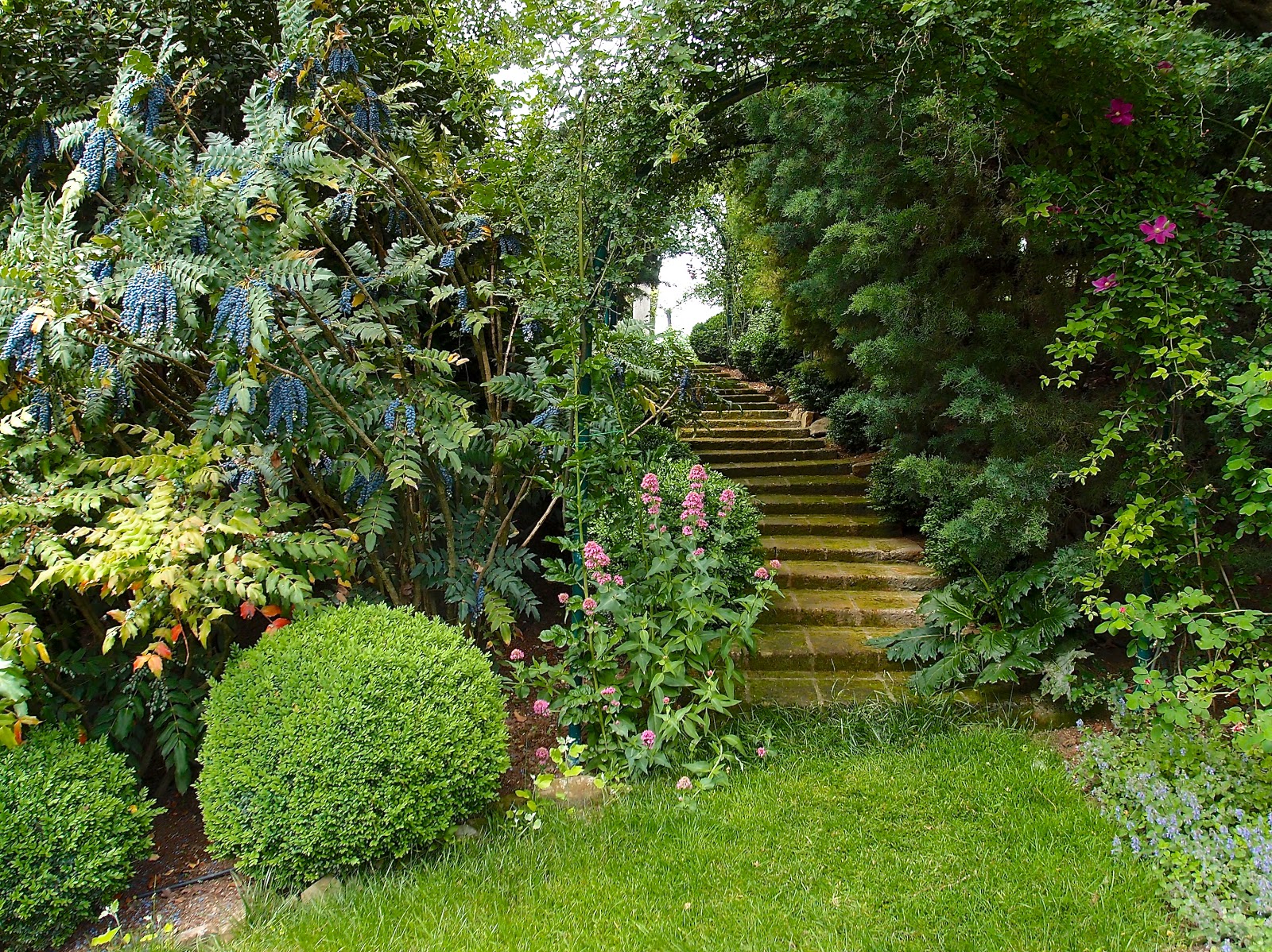 Variegated Heights Of My Favorite Takes Me Back To Paris