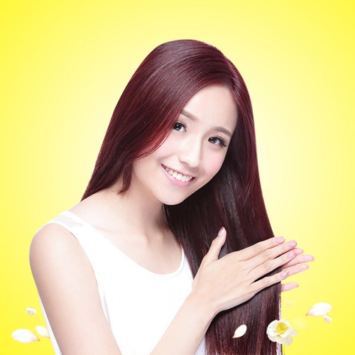 [Image: hoa-tra-mi-5.jpg]