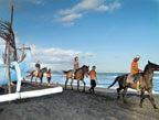 Bali Horse Riding