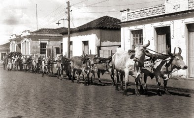 Os carros de bois