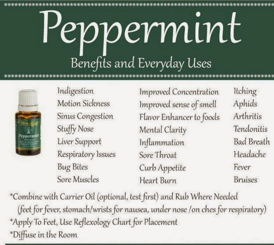 Memories of My Precious Life!!! Young Living Essential Oil Peppermint