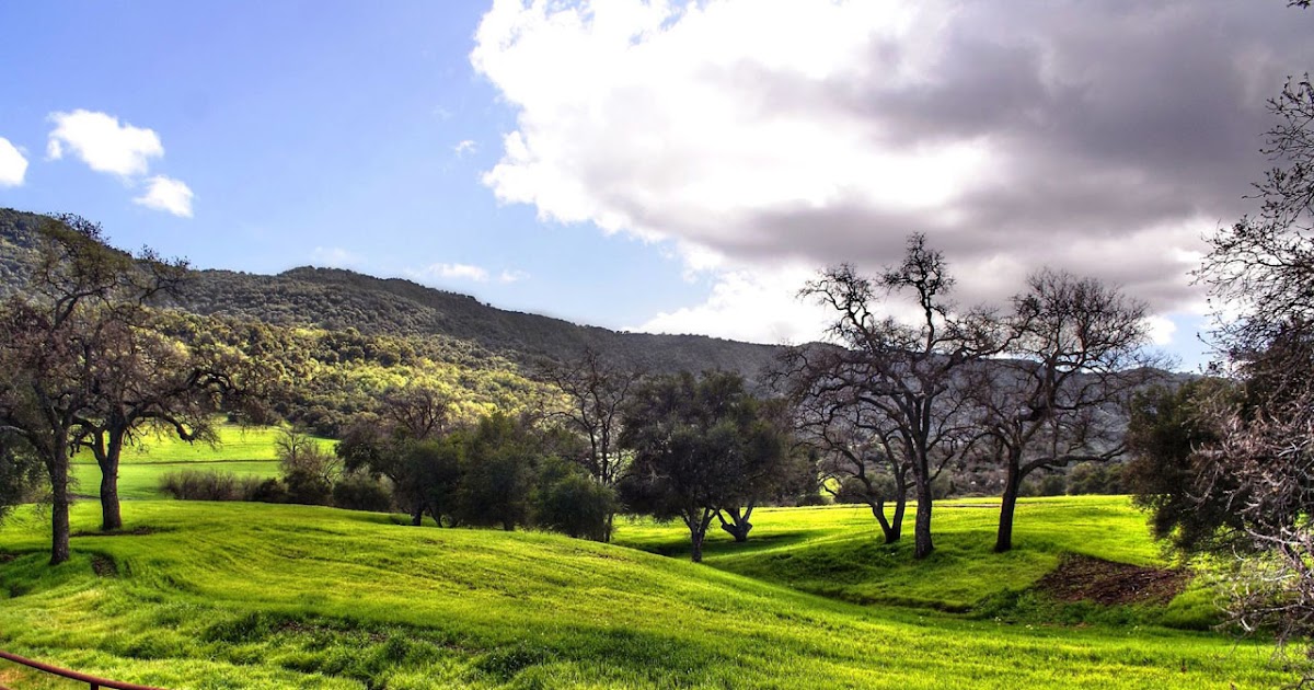 Free wallpapers, celebrity wallpapers, nature wallpapers, desktop