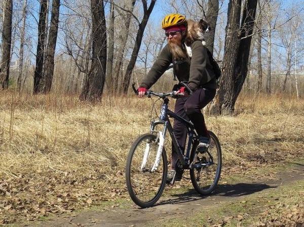 Велосипедист Володя и его кот Морда Велосипедист Володя и его кот Морда