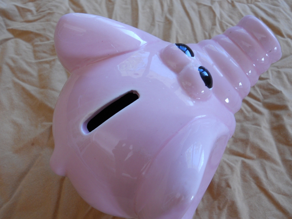 Snacking Squirrel Breaking Open the Piggy Bank