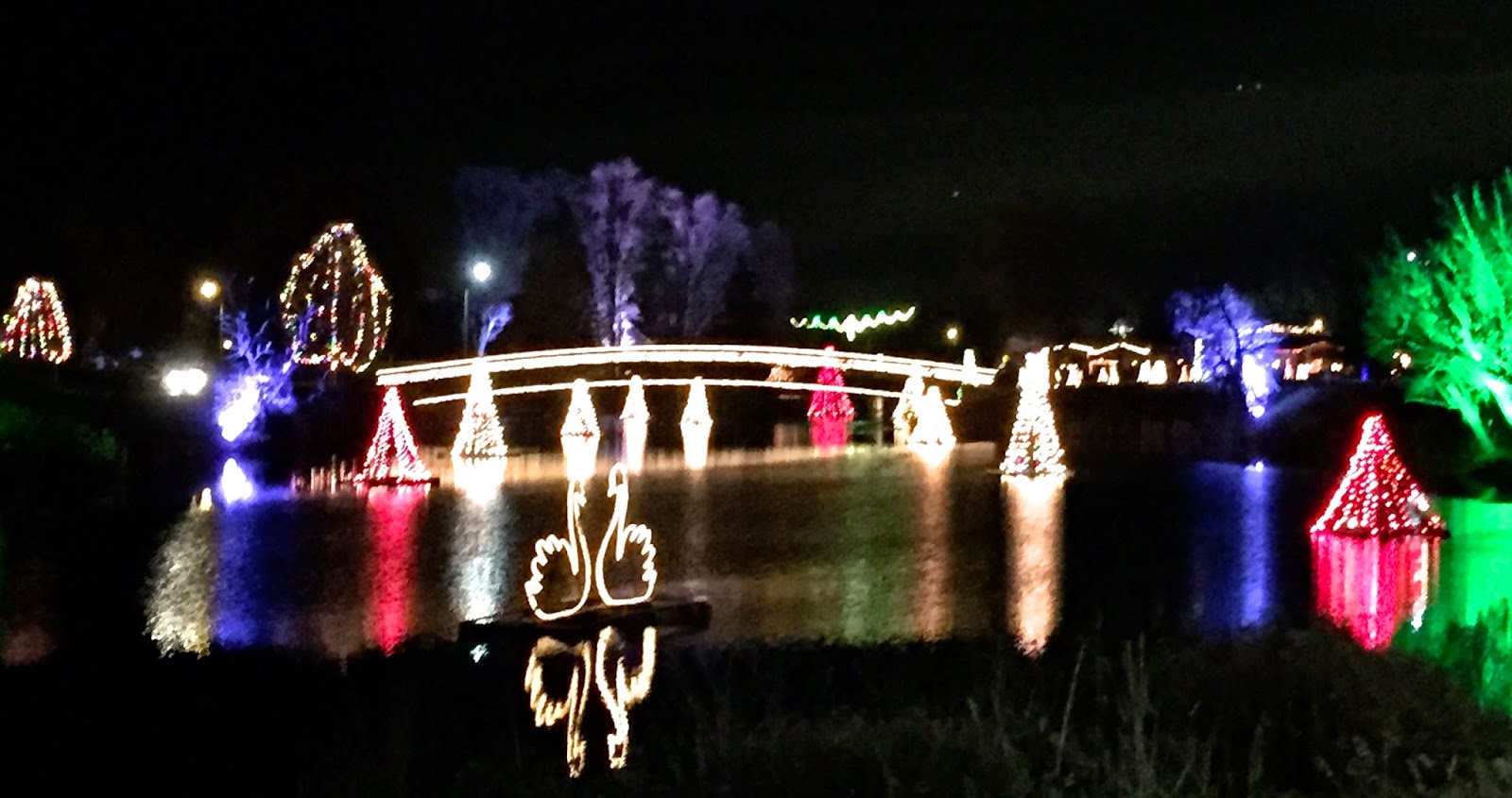 Life of Tracy Salem Pond Christmas Lights