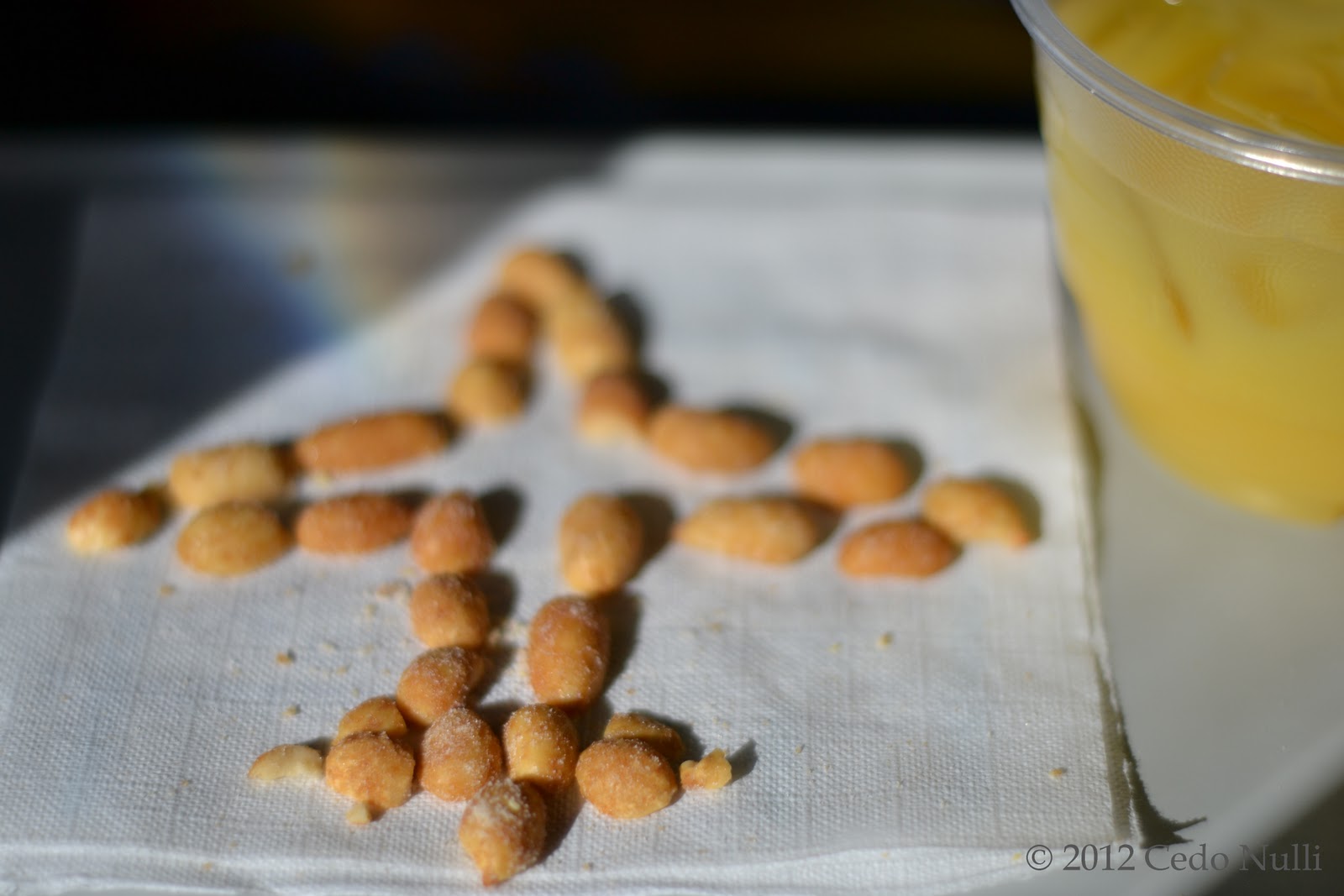 366 Carpe Diem Day 11 Airplane Peanuts