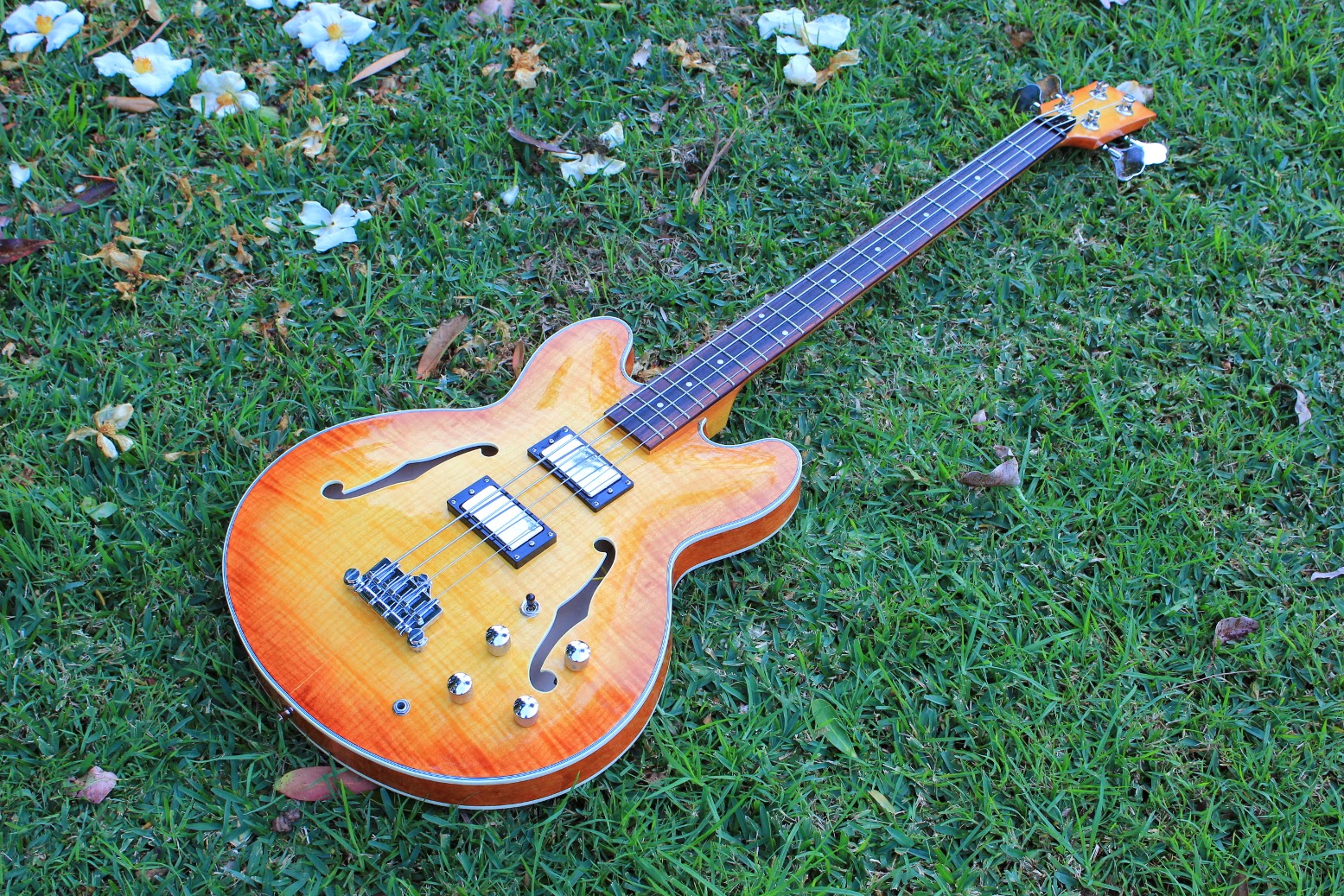 Guitar Kit Builder 335 Semihollow Bass She's a Stunner!