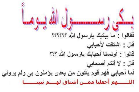 ������ ���� ������ �� ���� ������