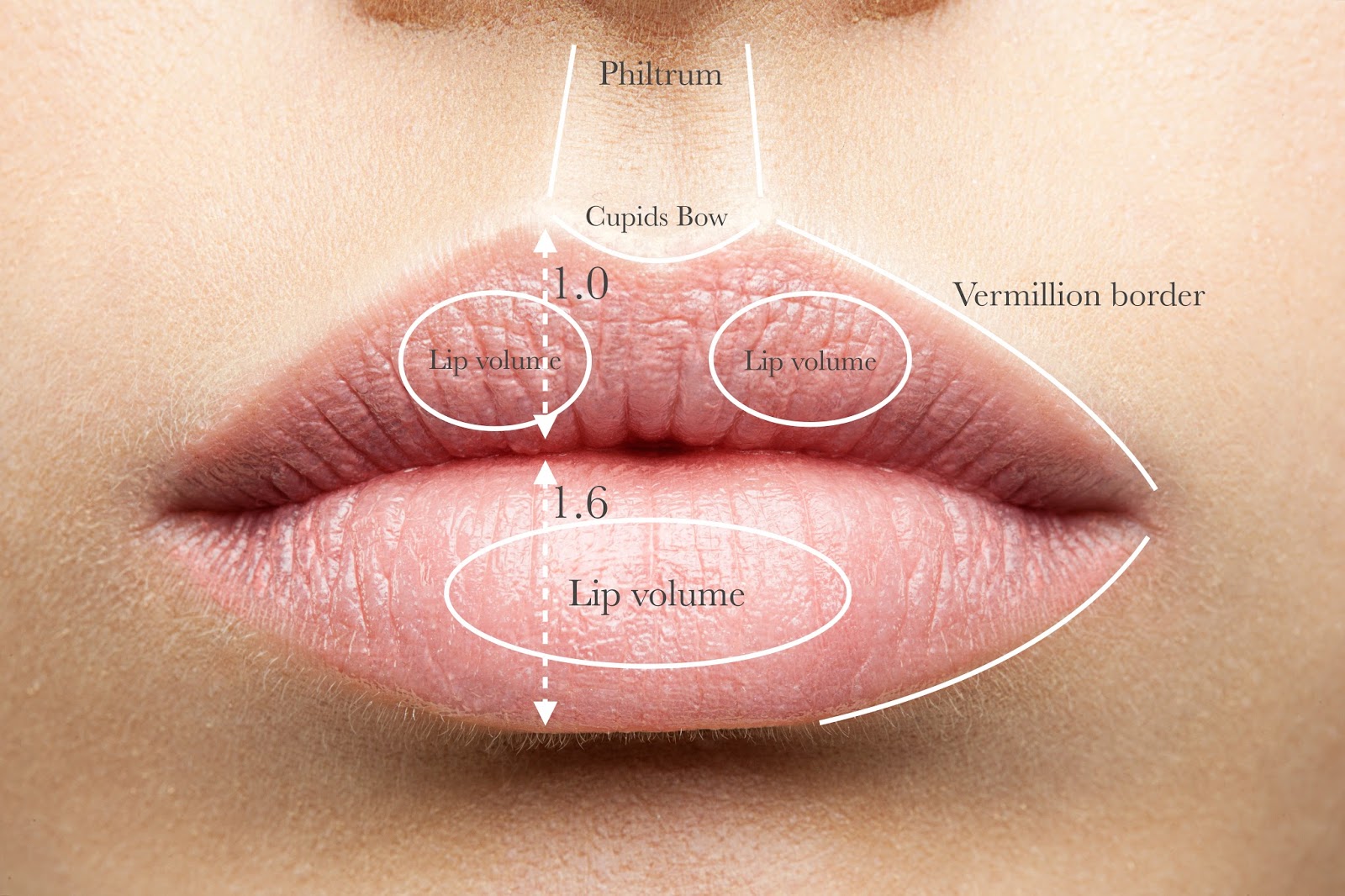 lip filler lips dermal fillers masterclass mouth parts area injection perfect perioral course science bottom facial technique beauty different enhancement