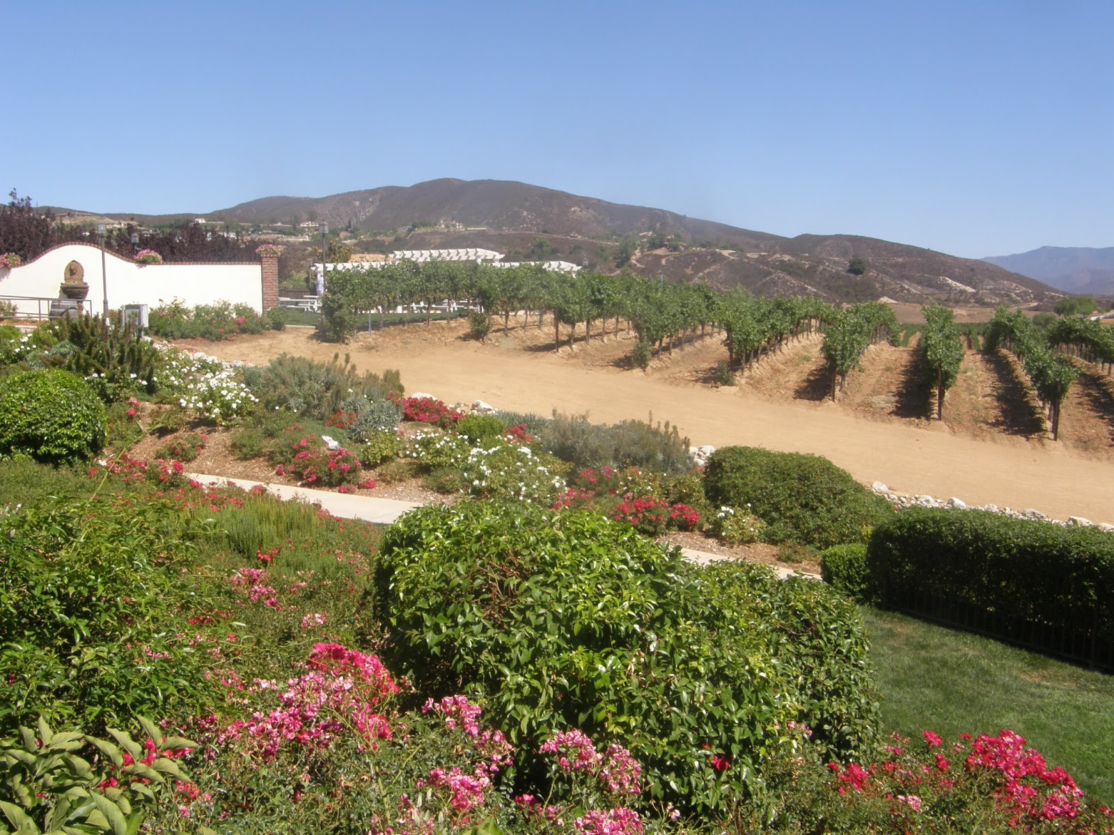 Journey Through Food and Wine Leoness CellarsTemecula, CA