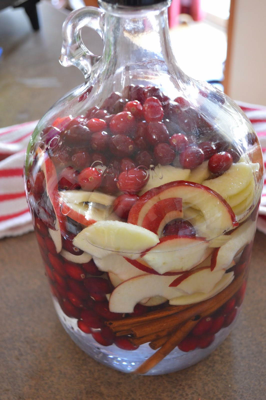 From Scratch Cranberry Apple Cinnamon Vodka