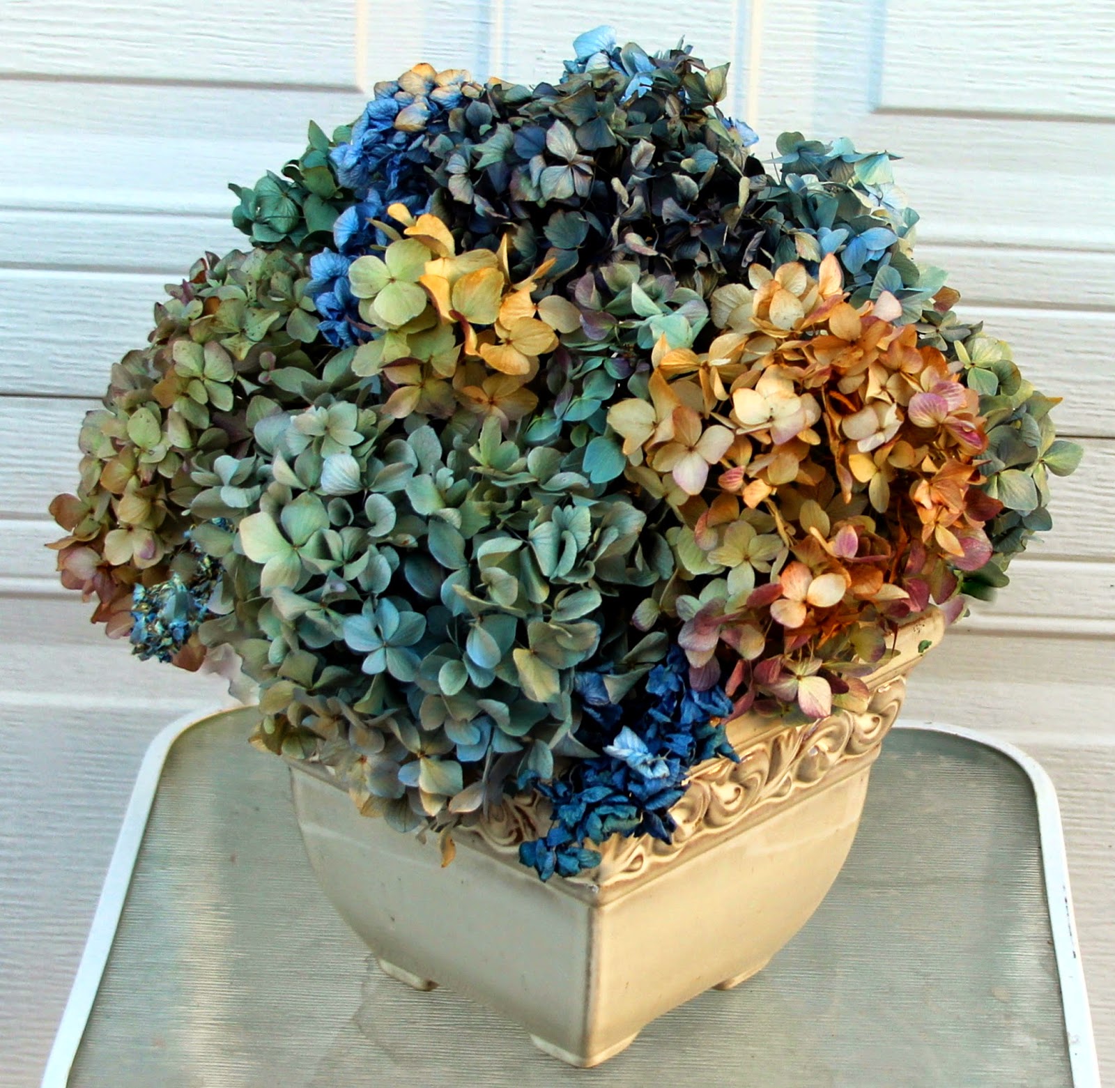 DRIED HYDRANGEAS Fall arrangements that last for years Sowing the Seeds