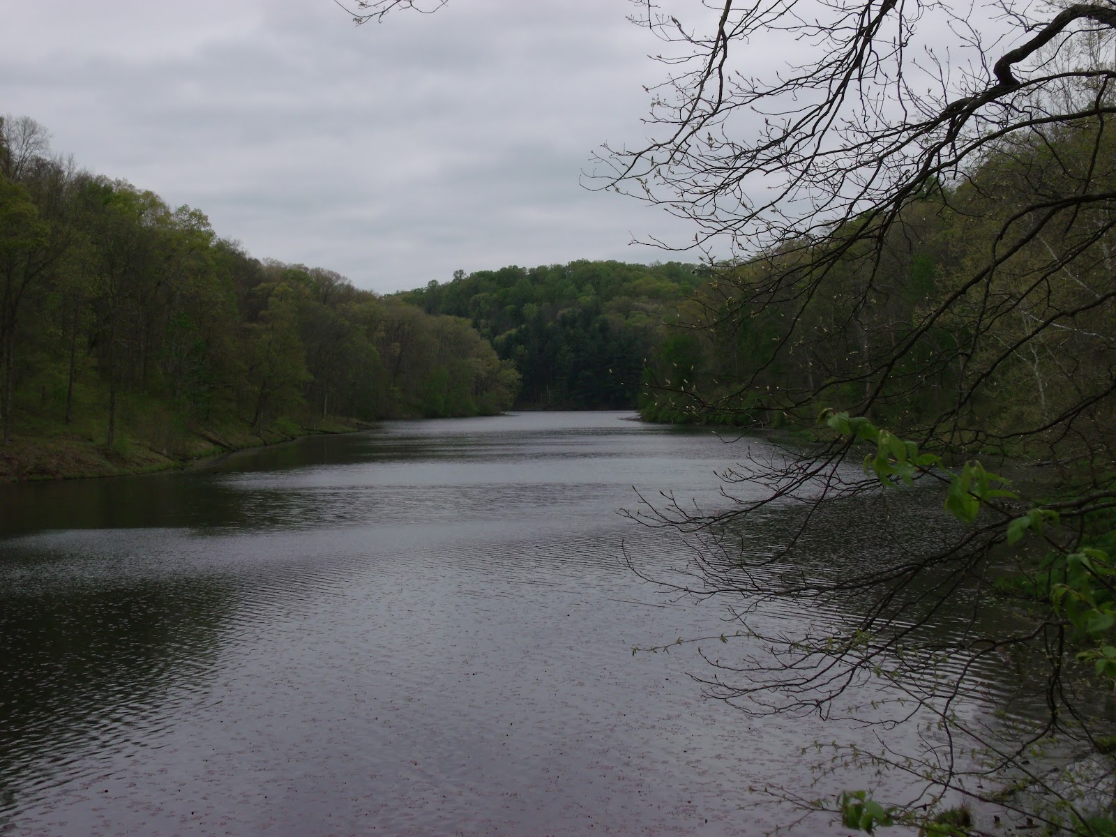 Zaleski State Forest Zaleski, Ohio Lauer's Been There Done That U.S