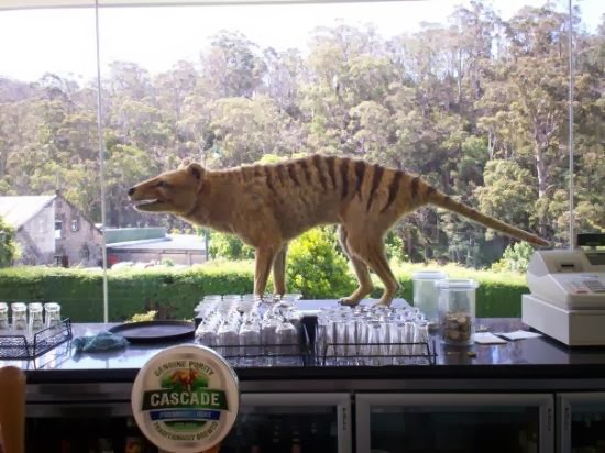 Centre for Fortean Zoology Australia: Cascade makes Thylacine extinct on label