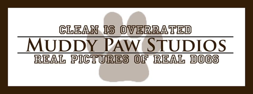 Muddy Paw Studios - Where Clean is Over-rated