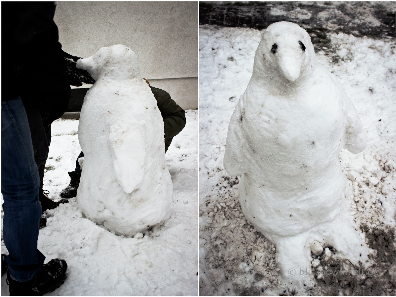 Pinguin aus Schnee bauen