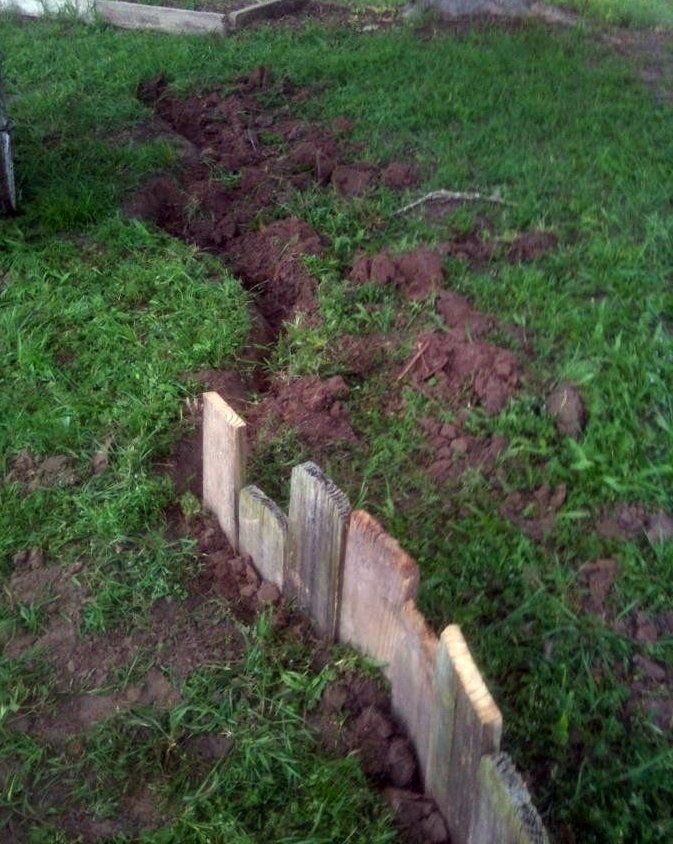 Life's Casual Observer: Fun Garden Beds