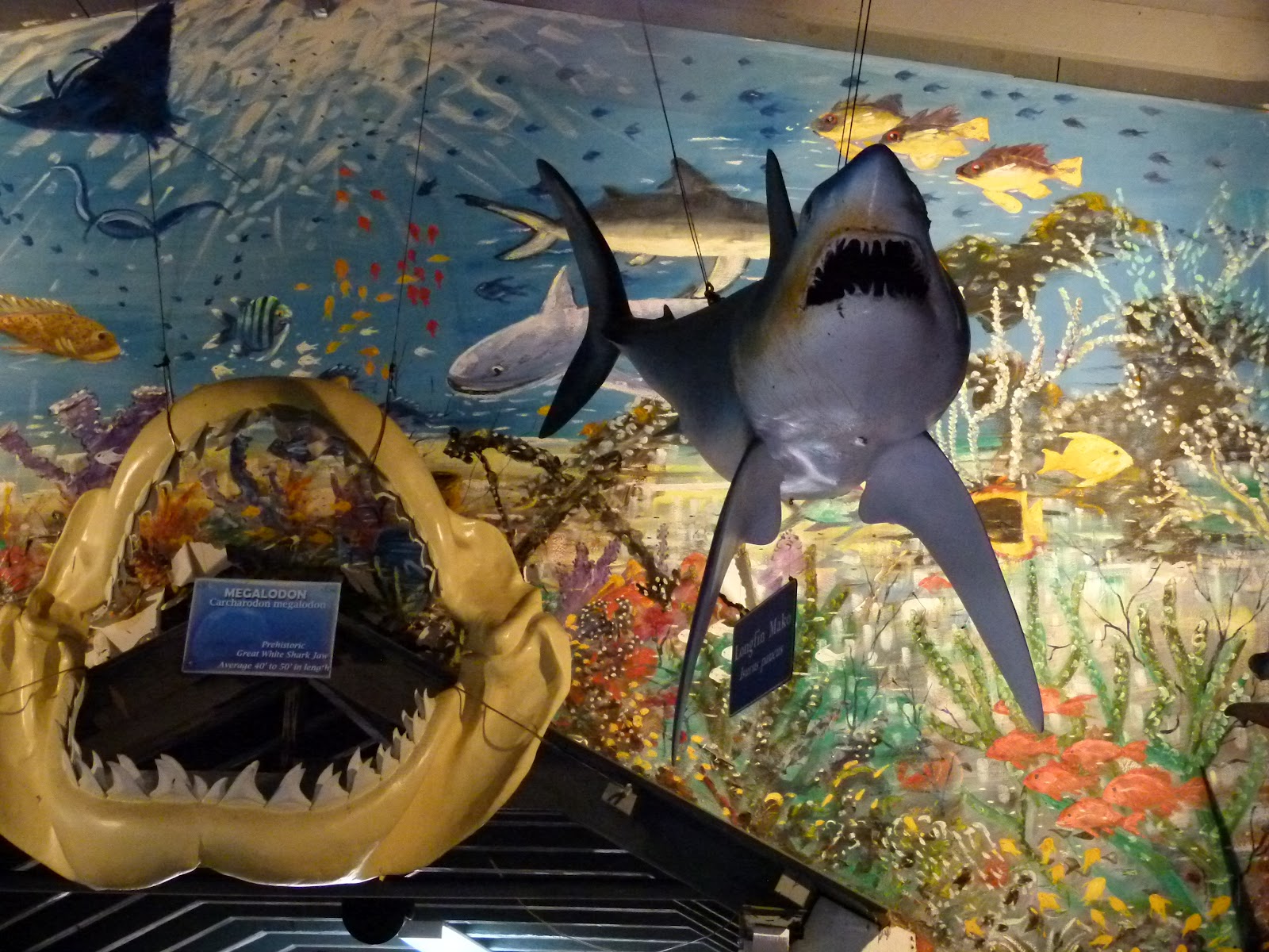 Key West vacation and visit guide Key West aquarium