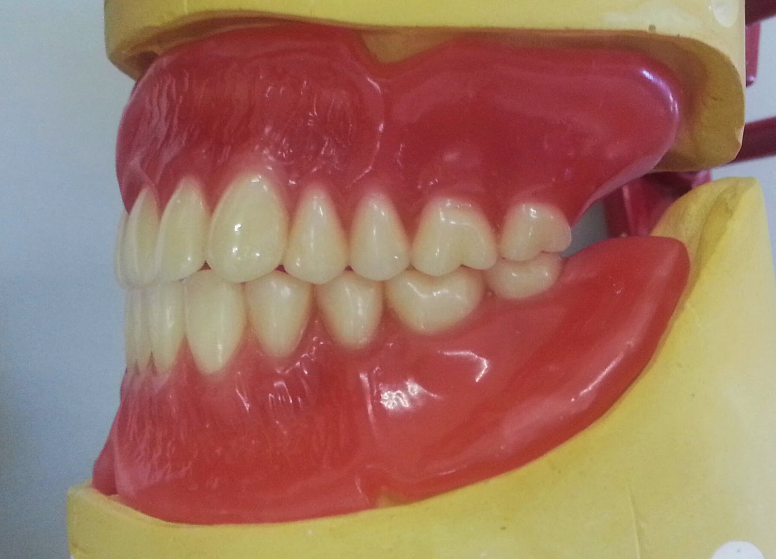 Mrs D's Dental Technology space for student Post your observatios