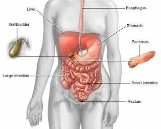 Gastroenteritis Nursing Diagnosis Nursing Intervention