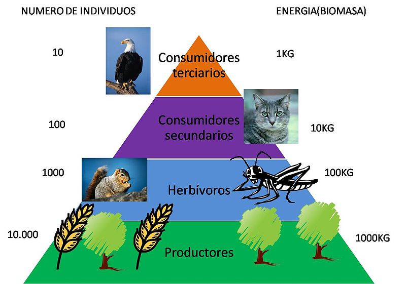 Science homework help on biomes in washington state