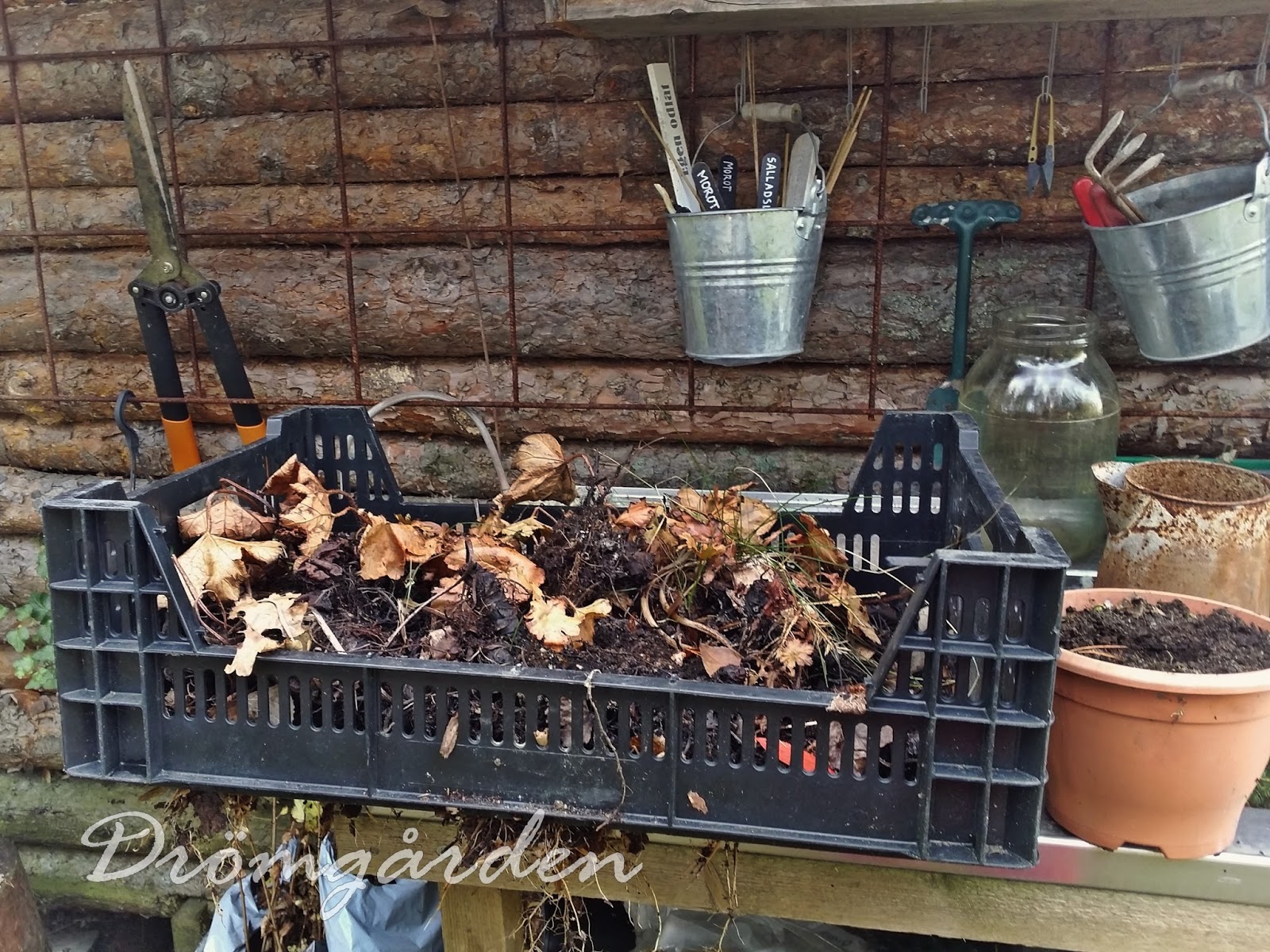 Drömgården: trädgårdsjobb 1:a november