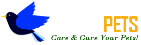 Kerala Pets Market