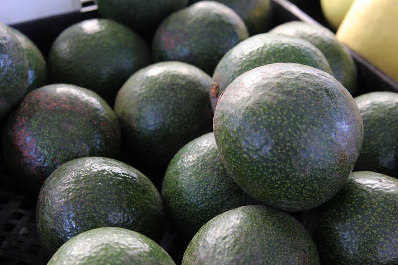 How Do We Have Avocados Year-Round?