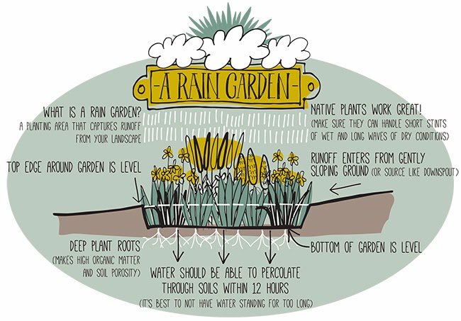 Lisa Orgler Design What Is A Rain Garden