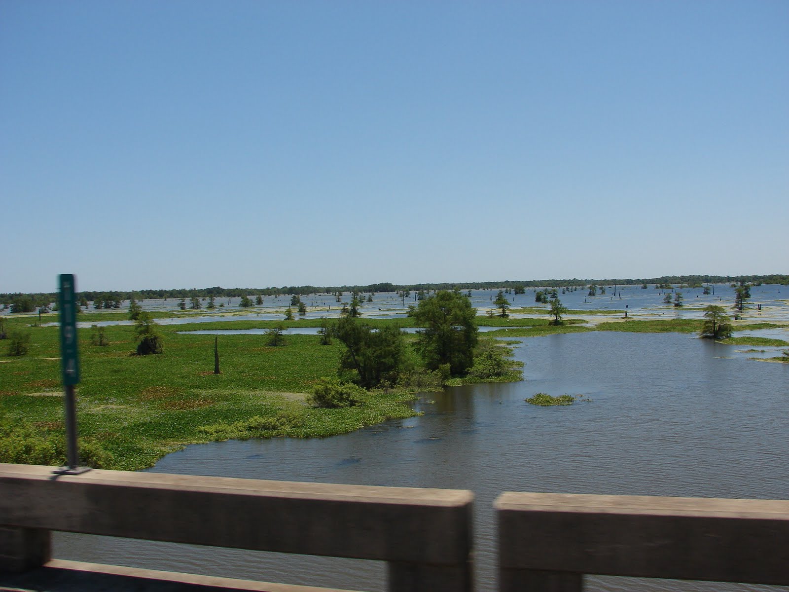 Ploughing Through Life Butte La Rose and Henderson Louisiana...BEFORE