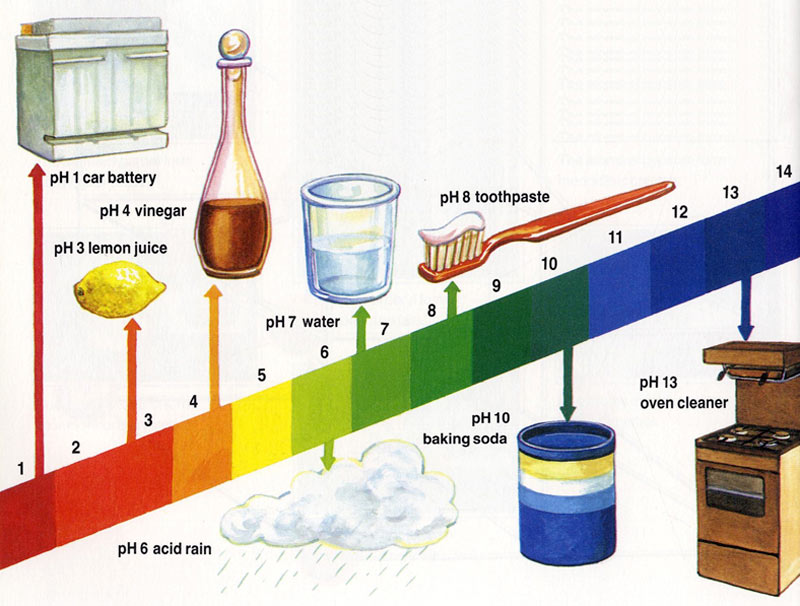 Ph Value Of Car Battery Acid Ph Value Of Car Battery Acid