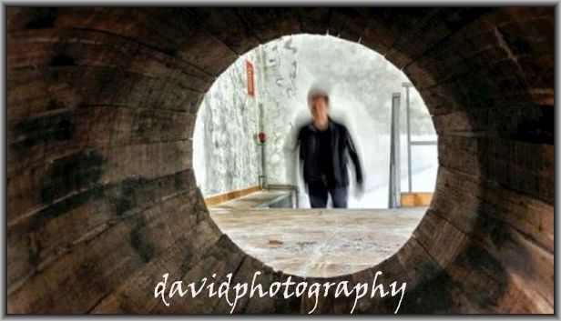 davidphotography