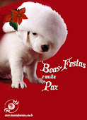 Boas Festas!!!