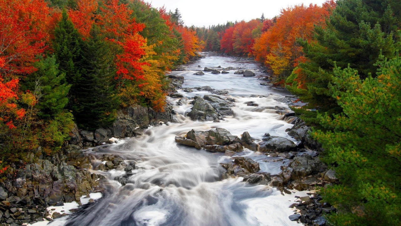 Nova Scotia Colors