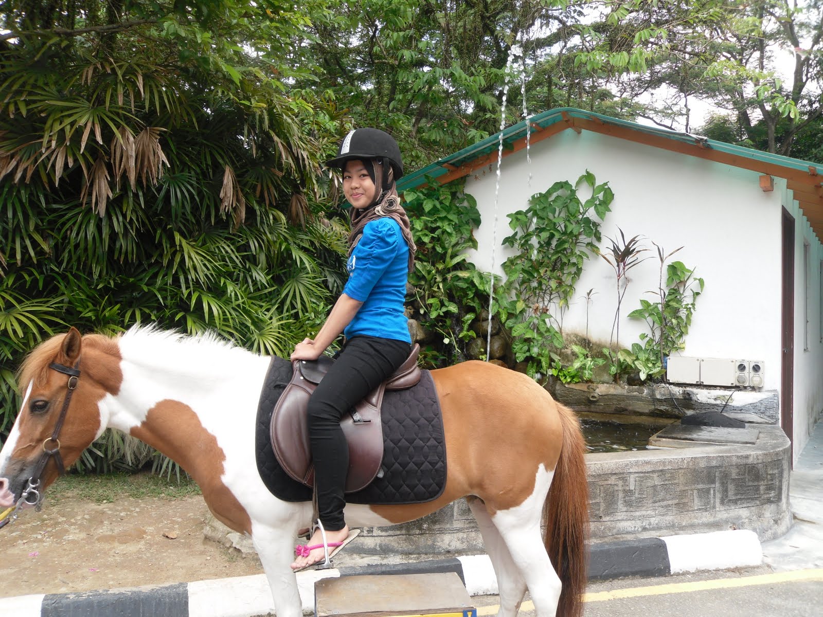 AzZeyAtin: KL TOWER - TUNGGANG KUDA