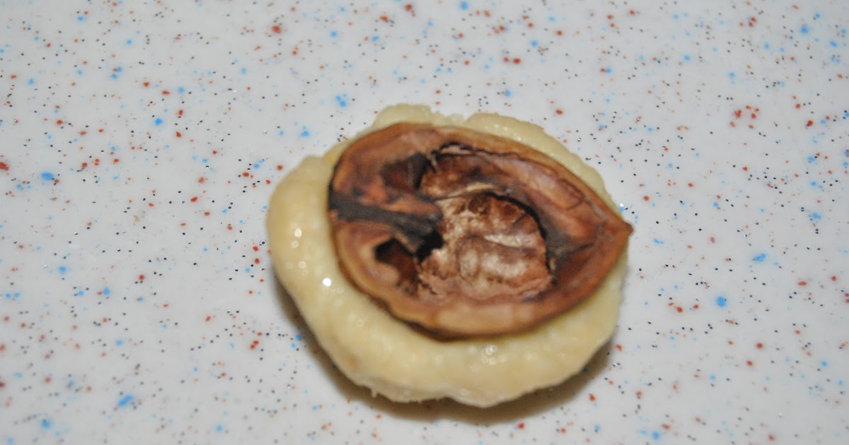 ŞEFTALİ KURABİYE