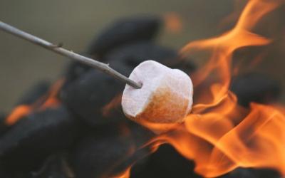 Marshmallow