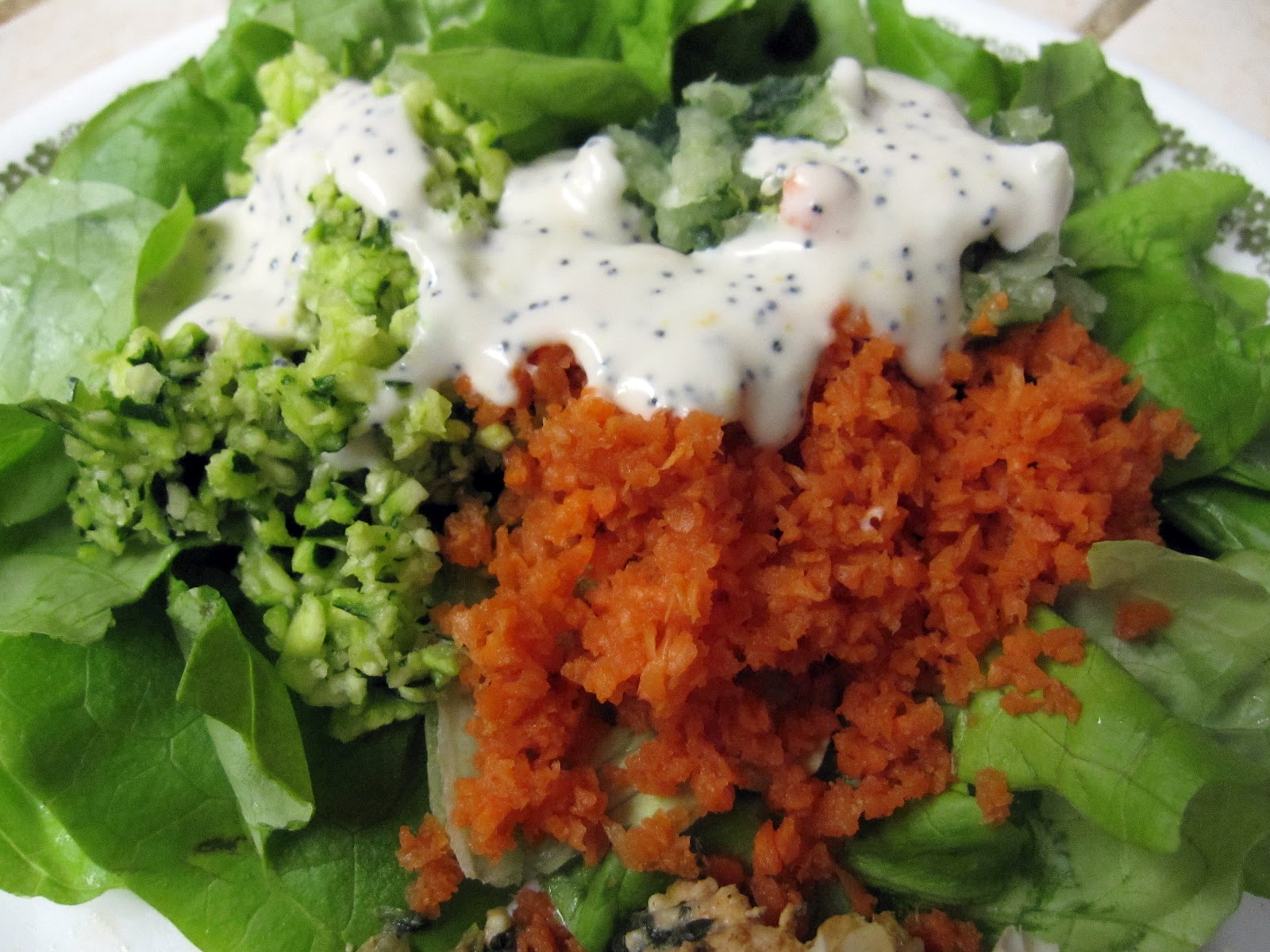 Fruitless Ambition Shredded Vegetable Salad with Poppy Seed Dressing