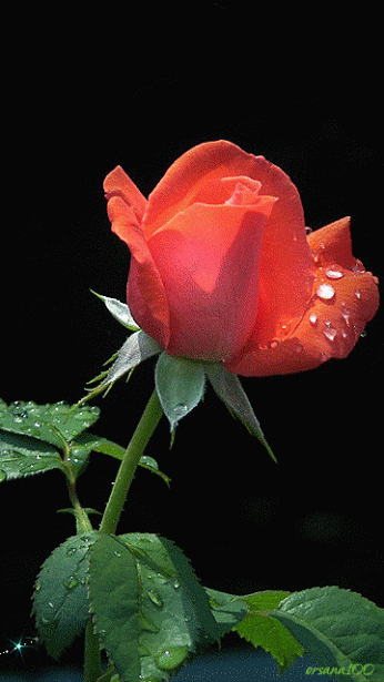 67cd9f97f1c9b8f33f5fa77737f98a62.jpg