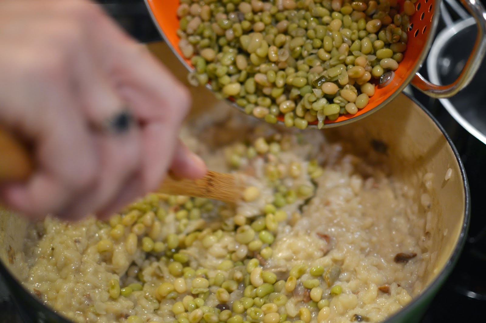 Weekend Food Project Risotto with Shrimp on the Big Green Egg